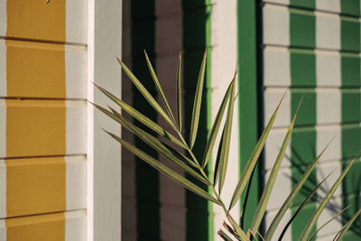 Close-up of yellow window on wall