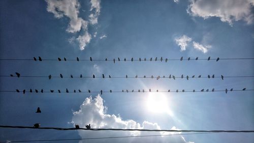 Low angle view of silhouette birds flying against sky