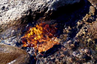 High angle view of rocks in water