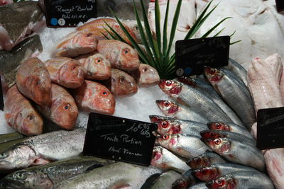 Market stall for sale