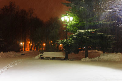 Trees on snow covered road at night
