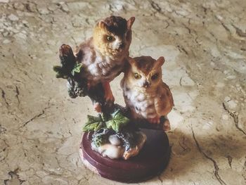 Dogs puppy on stone wall