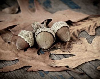 Close-up of logs