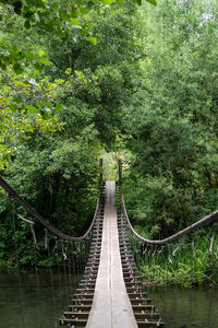 High angle view of footbridge amidst trees in forest