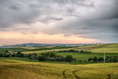 Scenic view of field against sky during sunset