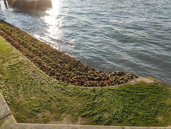 High angle view of sea shore