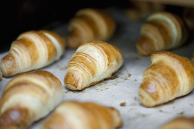 Freshly baked croissants on a tray at bakery