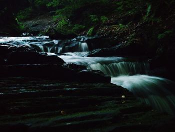 Scenic view of waterfall in forest