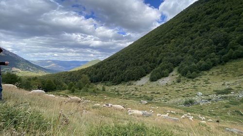 Scenic view of landscape against sky