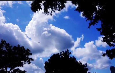 Low angle view of silhouette trees against sky