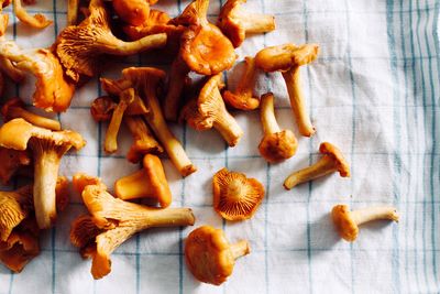 High angle view of chanterelles 