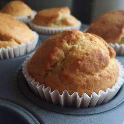 Close-up of muffins on baking sheet