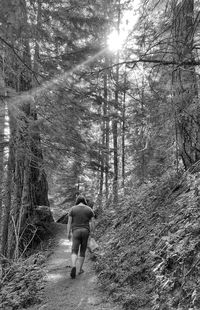 Rear view of man walking in forest