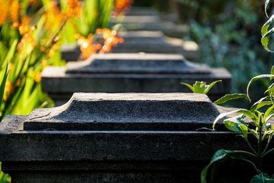 Close-up of plants and stone wall pillars