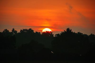 Silhouette trees against orange sky during sunset