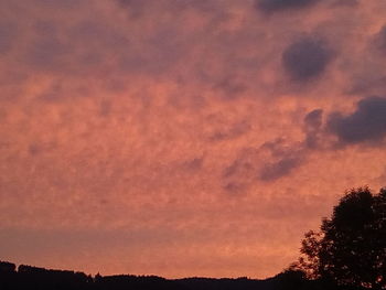 Low angle view of silhouette trees against dramatic sky