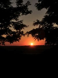 Silhouette tree against sky during sunset