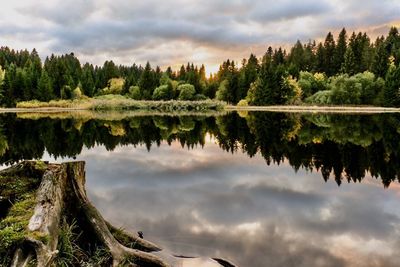 Scenic view of lake by trees against sky