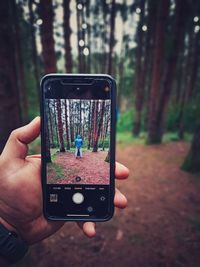 Midsection of man using mobile phone in forest