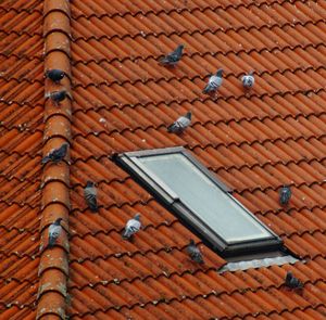 High angle view of small roof