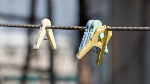 Close-up of clothespins hanging on rope