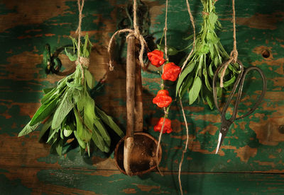 Directly above shot of vegetables on table