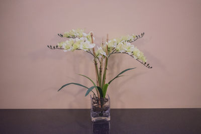 Close-up of plant in vase