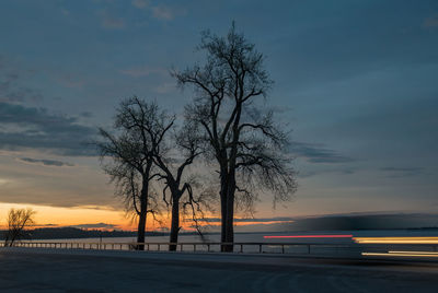 Bare trees on landscape at sunset