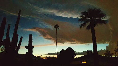 Low angle view of silhouette palm trees against cloudy sky