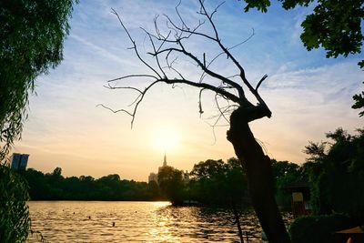 Silhouette trees by lake against sky during sunset