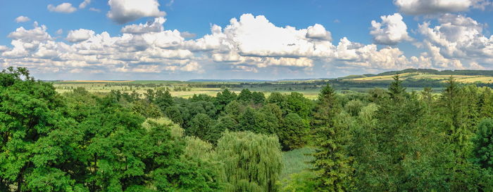 Panoramic view of nature around olesko castle, ukraine, on a sunny summer day