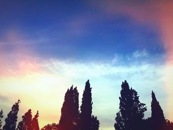 Low angle view of silhouette trees against sky