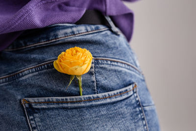 Yellow rose in the pocket of women's jeans. spring concept