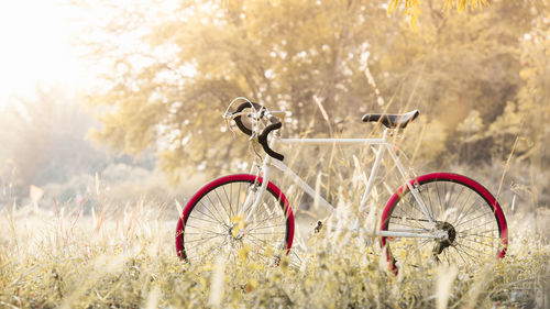 Bicycle parked on field