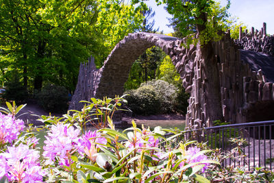 View of flowering plants by trees