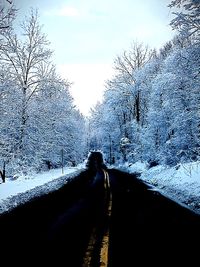 Road passing through snow covered landscape