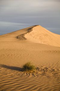 Scenic view of desert against sky