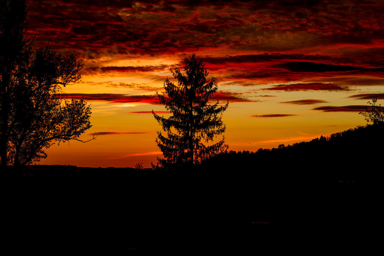 sunset, nature, beauty in nature, silhouette, scenics, sky, orange color, tree, dramatic sky, idyllic, tranquil scene, cloud - sky, no people, tranquility, outdoors, growth, water, horizon over water