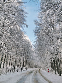 Road amidst snow covered trees against sky