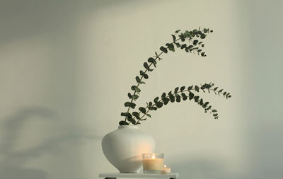 Eucalyptus leaf branch in white bowl and burning candle on gray . light and shadow background.