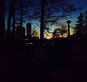 Silhouette of bare trees at night