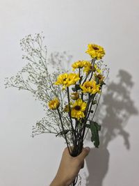 Close-up of hand holding yellow flowering plant