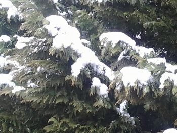 Scenic view of snow during winter