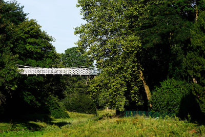 Trees and plants growing in building against sky