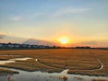 Scenic view of field against sky during sunset