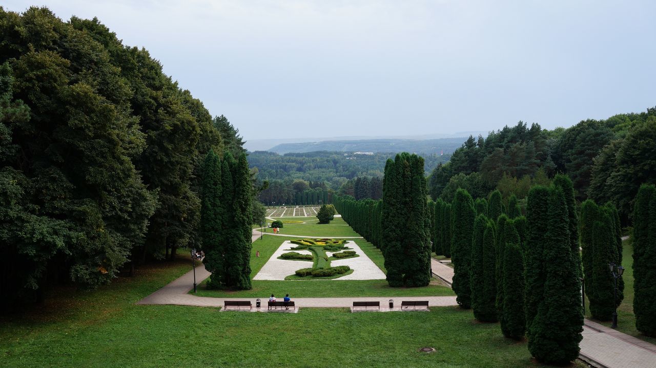 tree, tranquil scene, tranquility, park - man made space, green color, scenics, travel destinations, non-urban scene, tourism, beauty in nature, nature, plant, growth, lawn, day, water, park, green, outdoors, garden, formal garden, sky, lush foliage, mountain range