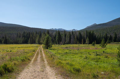 Landscape of dirt road, grass, trees and mountains in rocky mountain national park in colorado