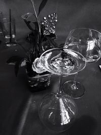 Close-up of leaves on table