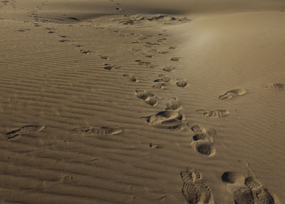 High angle view of footprints on sand at beach