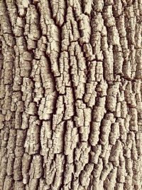 Full frame shot of stone wall